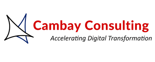Cambay Consulting